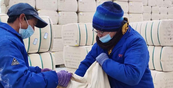 常德赴疆棉花公检团队创历史年检验量新高